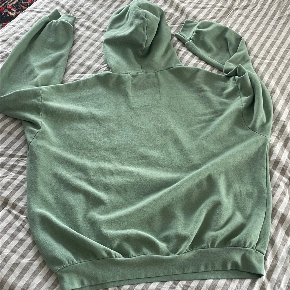Aviator Nation set  logo Stitch Relaxed hoodie and sweatpants in Sage - Picture 5 of 10